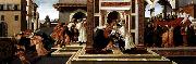 BOTTICELLI, Sandro Last Miracle and the Death of St Zenobius oil painting
